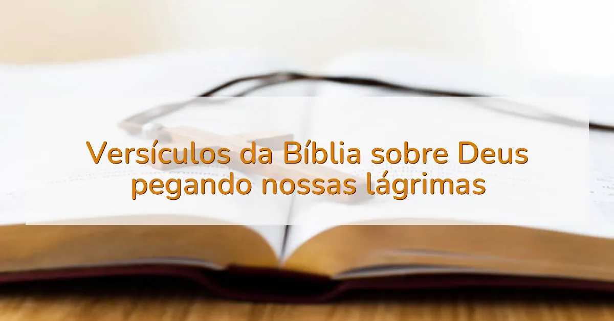 Versículos da Bíblia sobre Deus pegando nossas lágrimas