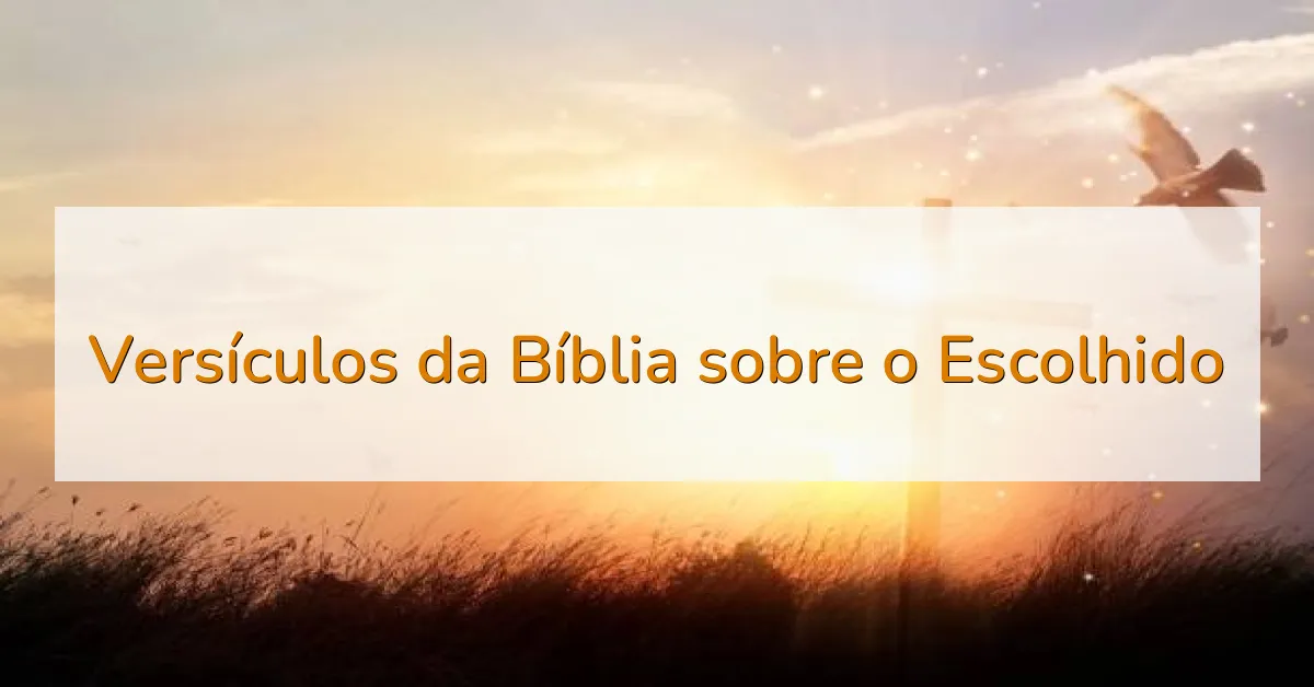 Versículos da Bíblia sobre o Escolhido