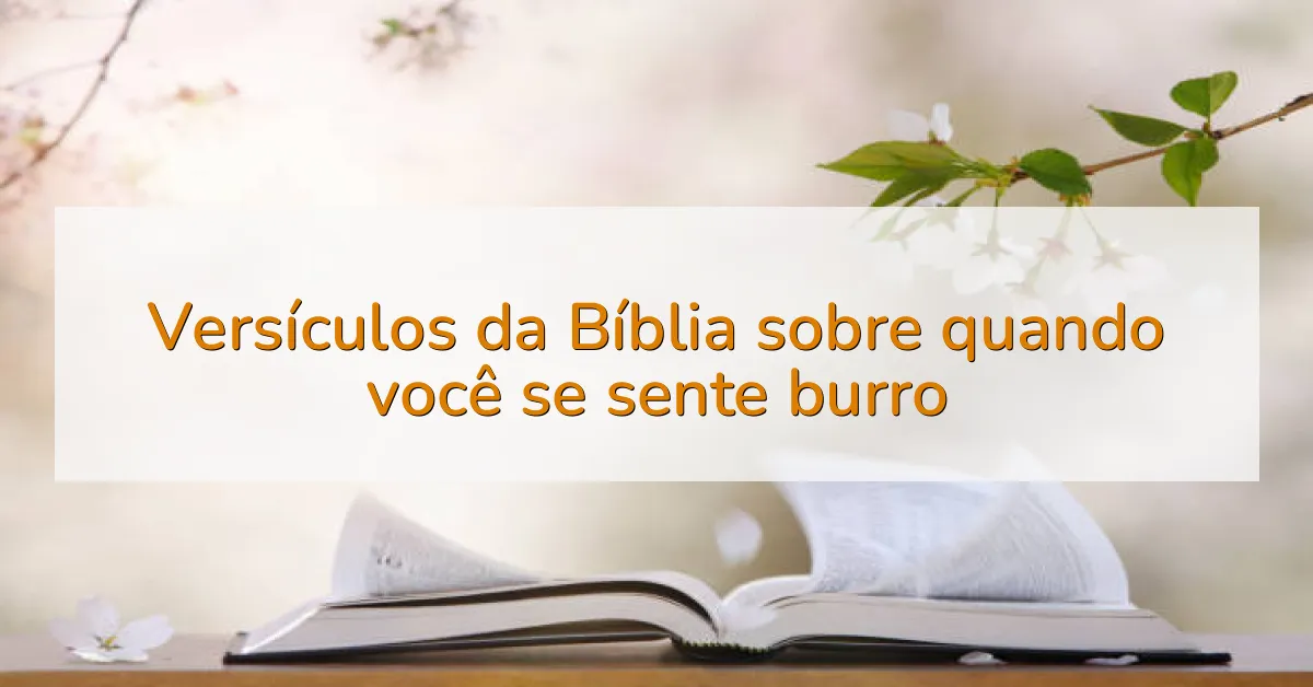 Versículos da Bíblia sobre quando você se sente burro